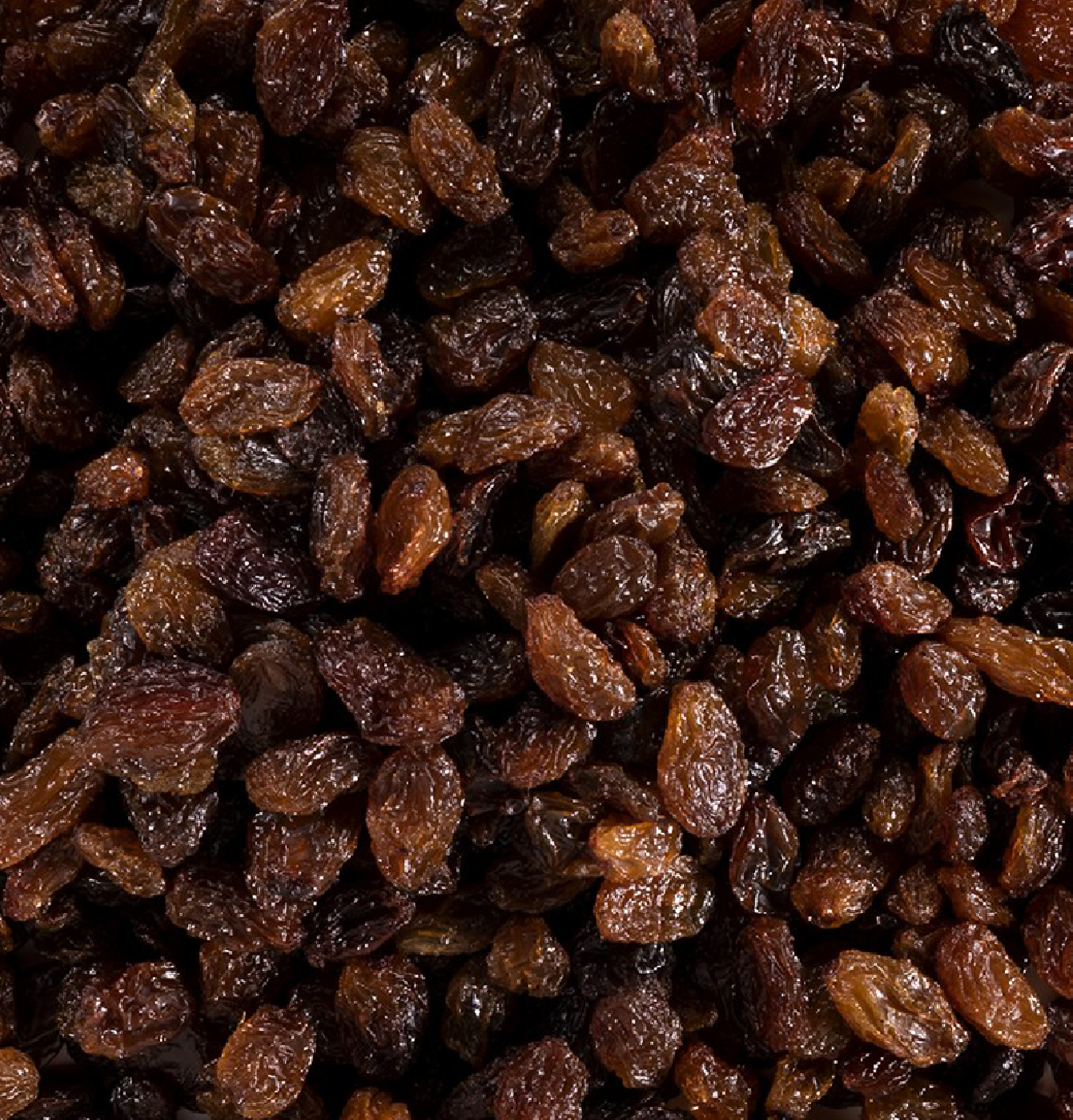 Raisins secs bruns Sultanine Bio